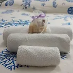 Σπίτι διακοπών Sandrina *