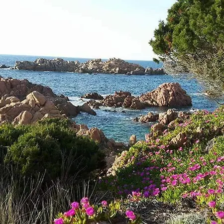 Sandrina Casa vacanze