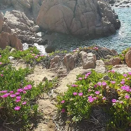 Sandrina Casa vacanze
