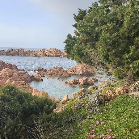 Sandrina Casa vacanze *